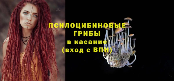 прущая мука Белокуриха