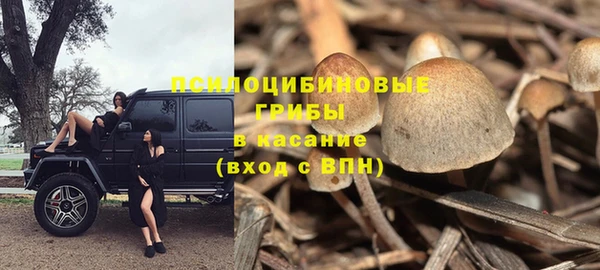 прущая мука Белокуриха