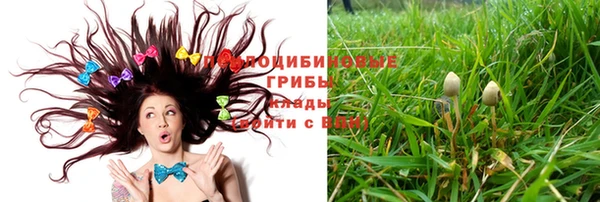 стафф Беломорск